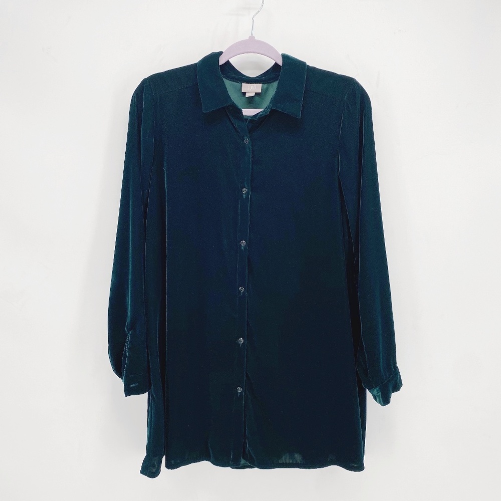 J. Jill Evergreen Velvet Button Front Tunic